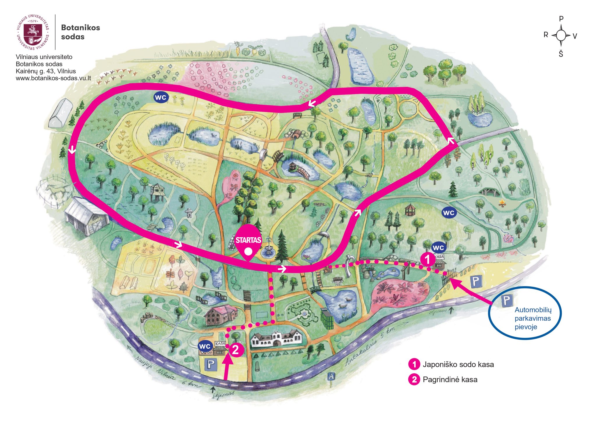 FTMC Fall Cross 2024 running festival in a new location Nature